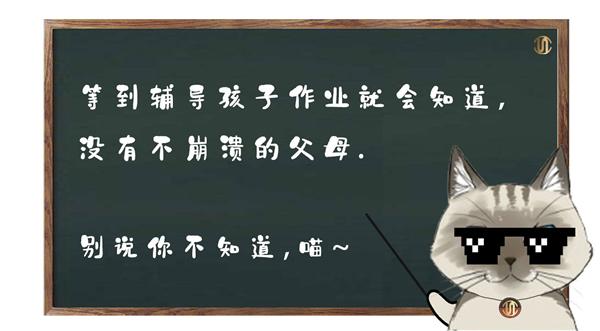 思诺尔家木门 | 猫主子说：听我的，别说你不知道！